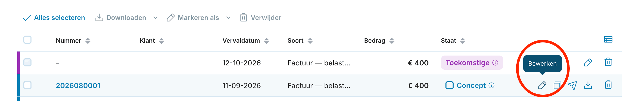 Factuur corrigeren preview